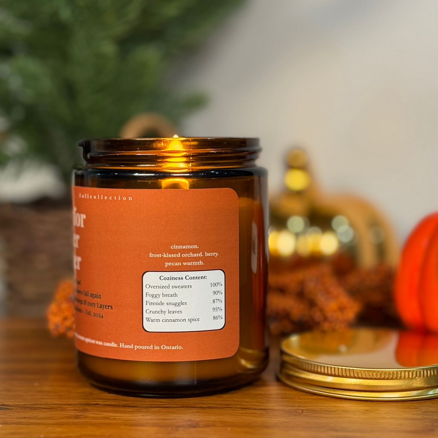 Living for sweater weather- Coconut Apricot Wax Candle
